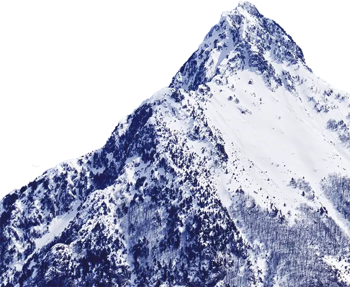 berg2