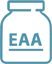 eaa icon